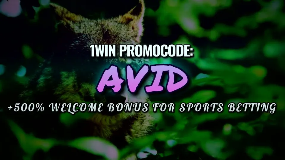 5 things to know about the 1win promocode AVID before you register